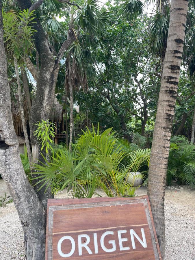 Hôtel Origen Tulum Extérieur photo