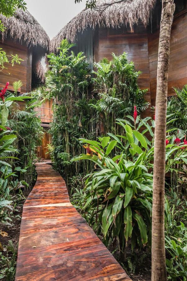Hôtel Origen Tulum Extérieur photo